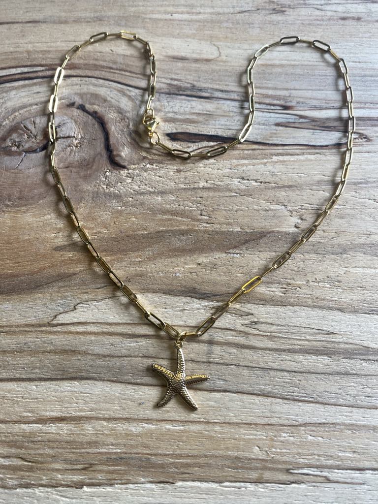 Chaîne en acier inoxydable avec charm étoile de mer