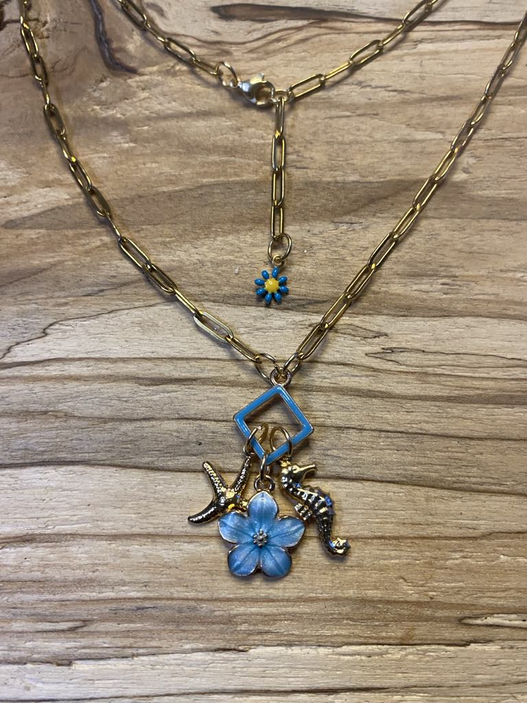 Chaîne en acier inoxydable avec charms