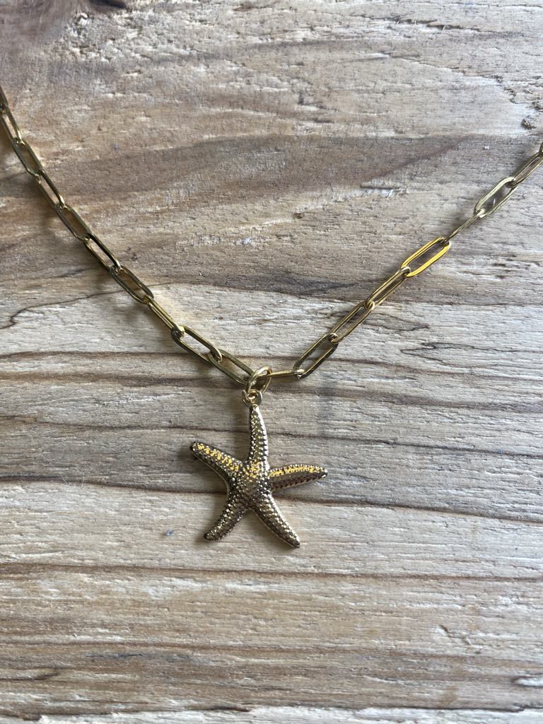 Chaîne en acier inoxydable avec charm étoile de mer